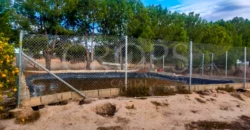 Finca con casa de campo e instalaciones ecuestres en Murcia