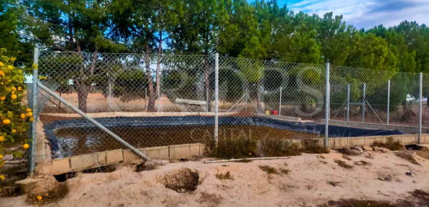 Finca con casa de campo e instalaciones ecuestres en Murcia