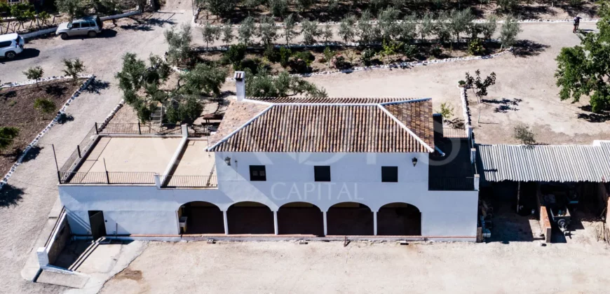 En venta finca de recreo con un proyecto de turismo rural en Sevilla