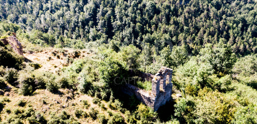 Finca forestal y cinegética con varias masías catalanas en el Pirineo