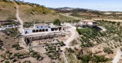 En venta finca de recreo con un proyecto de turismo rural en Sevilla