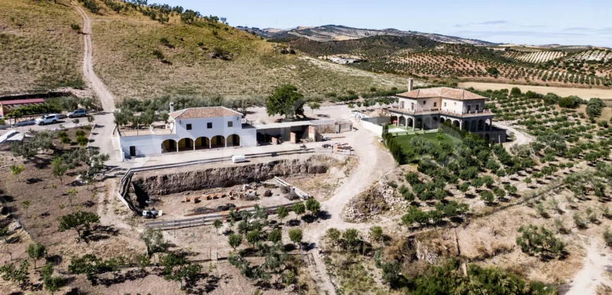 En venta finca de recreo con un proyecto de turismo rural en Sevilla