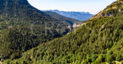 Finca forestal y cinegética con varias masías catalanas en el Pirineo