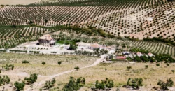 En venta finca de recreo con un proyecto de turismo rural en Sevilla