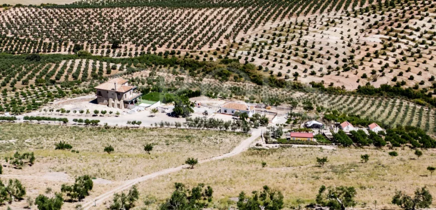 En venta finca de recreo con un proyecto de turismo rural en Sevilla