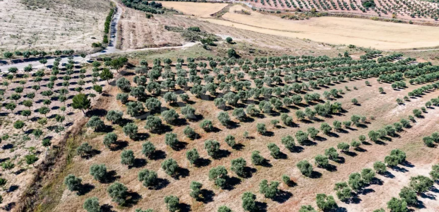 En venta finca de recreo con un proyecto de turismo rural en Sevilla