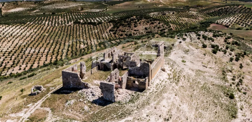 En venta finca de recreo con un proyecto de turismo rural en Sevilla