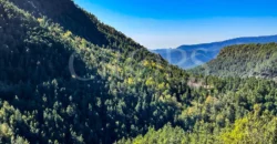 Finca forestal y cinegética con varias masías catalanas en el Pirineo