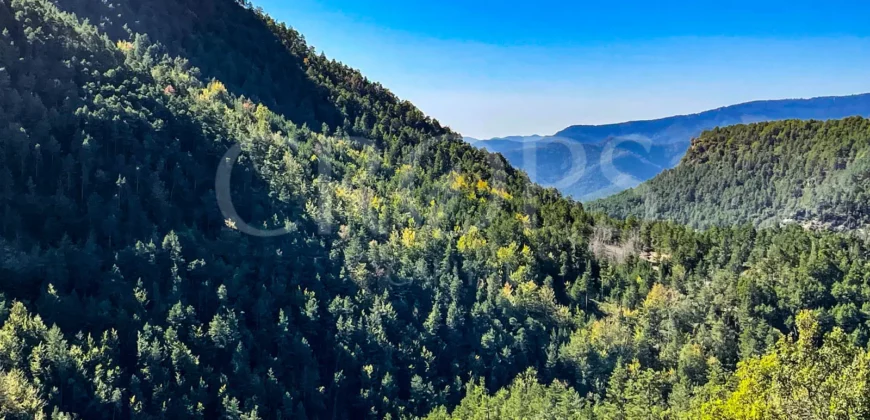 Finca forestal y cinegética con varias masías catalanas en el Pirineo