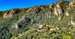 Finca forestal y cinegética con varias masías catalanas en el Pirineo