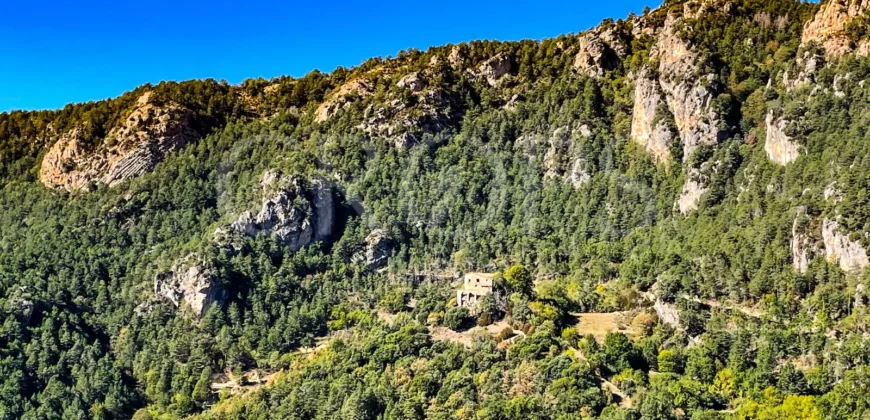 Finca forestal y cinegética con varias masías catalanas en el Pirineo