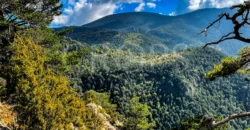 Finca forestal y cinegética con varias masías catalanas en el Pirineo