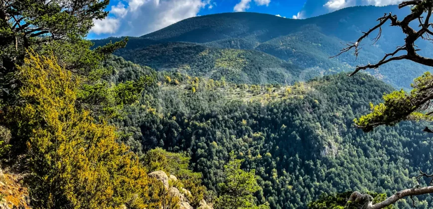 Finca forestal y cinegética con varias masías catalanas en el Pirineo