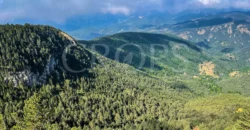 Finca forestal y cinegética con varias masías catalanas en el Pirineo