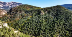 Finca forestal y cinegética con varias masías catalanas en el Pirineo