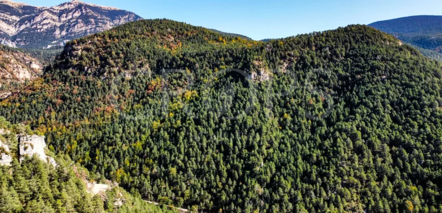 Finca forestal y cinegética con varias masías catalanas en el Pirineo