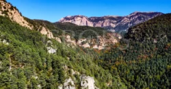 Finca forestal y cinegética con varias masías catalanas en el Pirineo