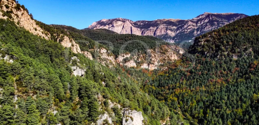 Finca forestal y cinegética con varias masías catalanas en el Pirineo