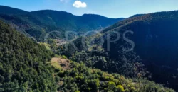 Finca forestal y cinegética con varias masías catalanas en el Pirineo