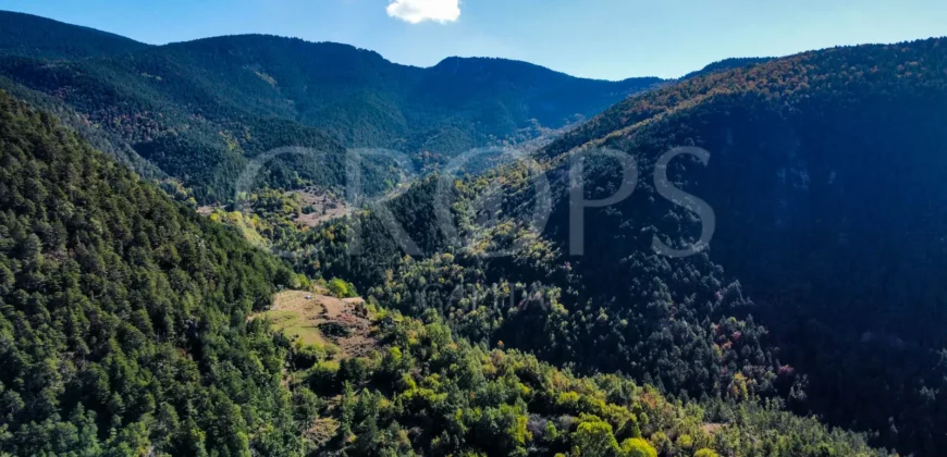 Finca forestal y cinegética con varias masías catalanas en el Pirineo