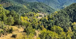 Finca forestal y cinegética con varias masías catalanas en el Pirineo