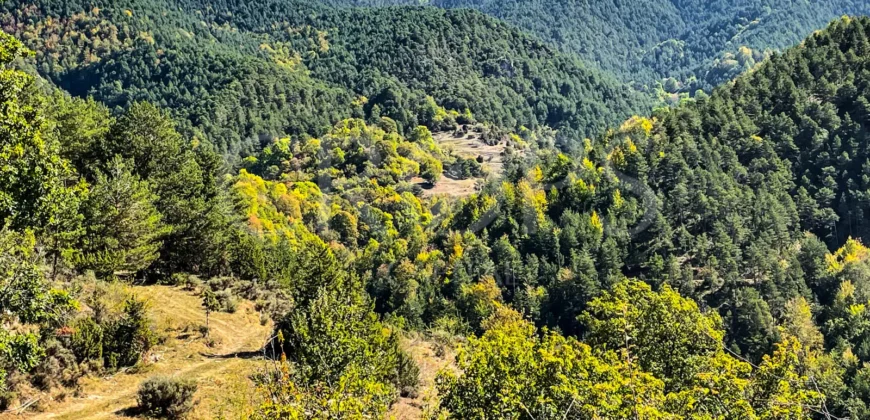 Finca forestal y cinegética con varias masías catalanas en el Pirineo