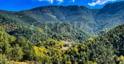 Finca forestal y cinegética con varias masías catalanas en el Pirineo