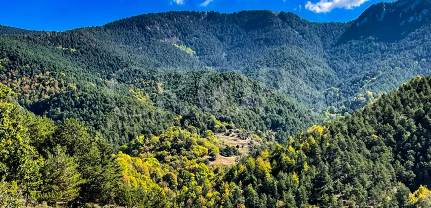 Finca forestal y cinegética con varias masías catalanas en el Pirineo