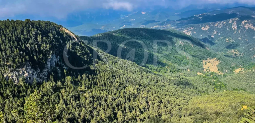 Finca forestal y cinegética con varias masías catalanas en el Pirineo