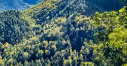 Finca forestal y cinegética con varias masías catalanas en el Pirineo