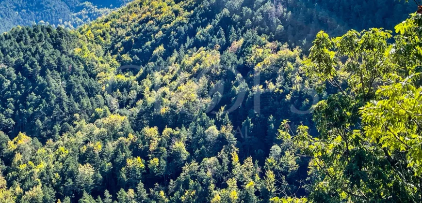 Finca forestal y cinegética con varias masías catalanas en el Pirineo