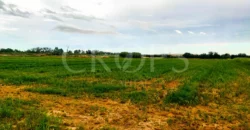 Finca Agrícola de Regadío en Aranjuez