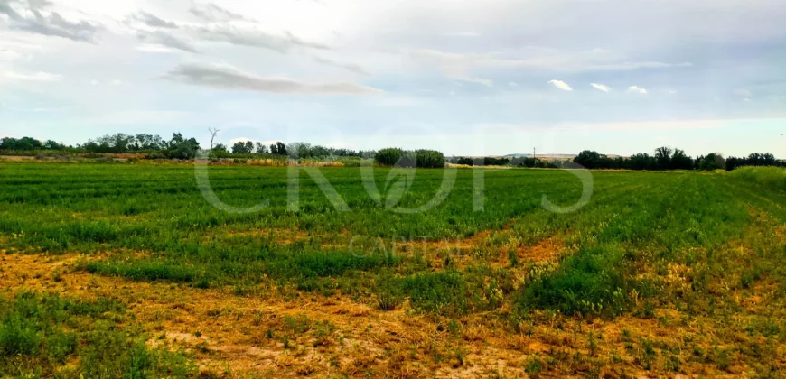 Finca Agrícola de Regadío en Aranjuez