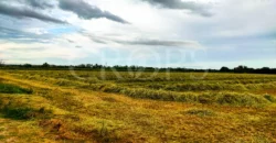 Finca Agrícola de Regadío en Aranjuez