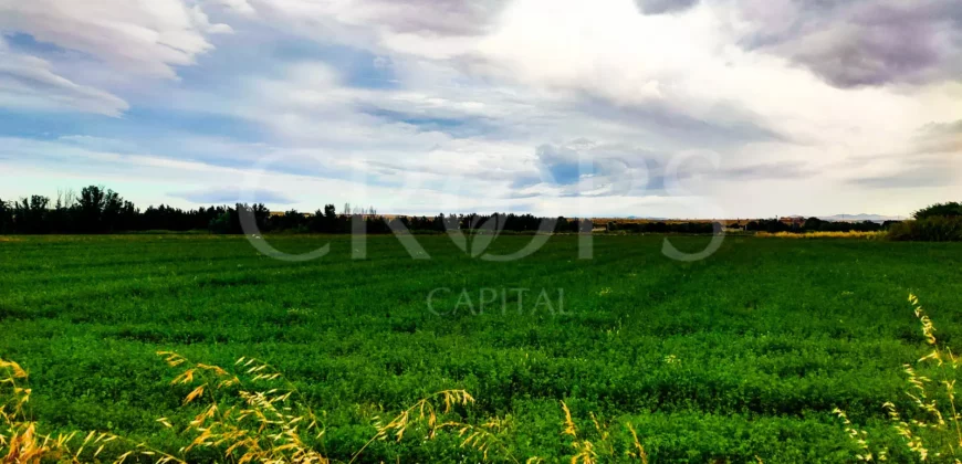 Finca Agrícola de Regadío en Aranjuez