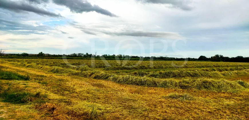 Finca Agrícola de Regadío en Aranjuez