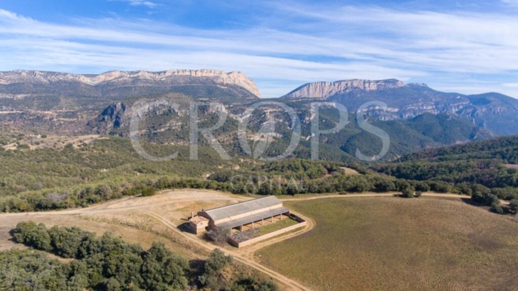 finca agricola y cinegetica en venta