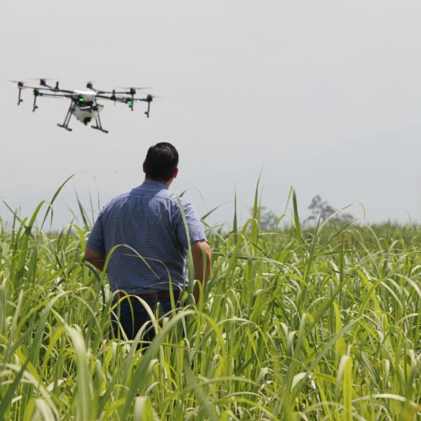 Modernización en las Tareas Agrícolas