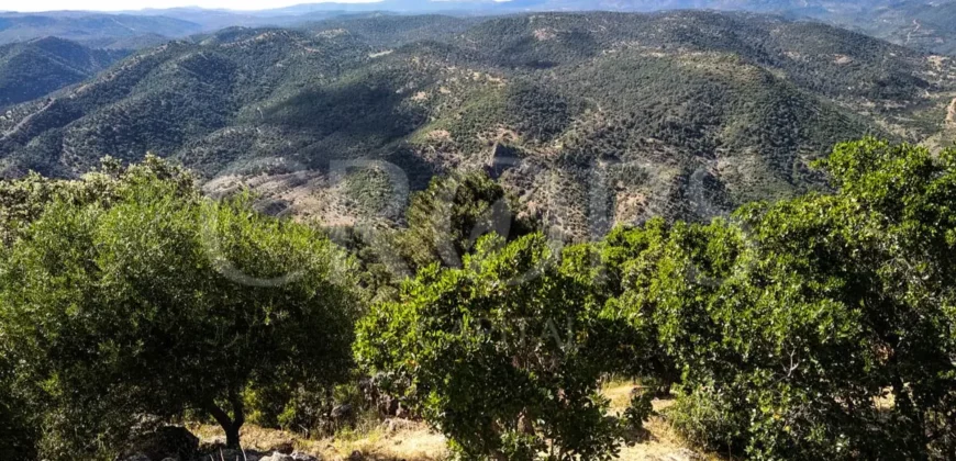 Finca de caza con vivienda cerca de Córdoba