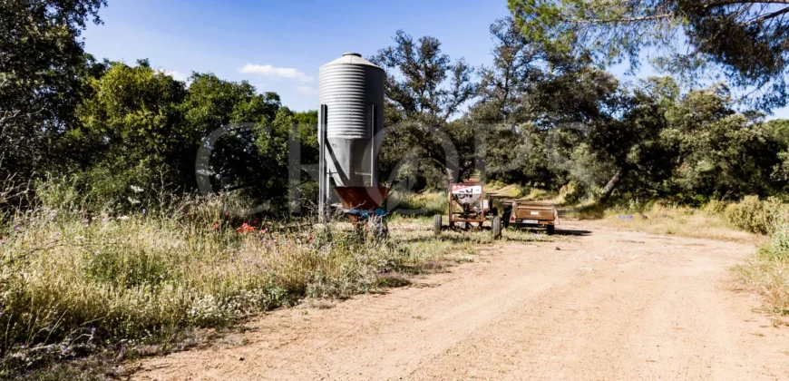 Finca de caza con vivienda cerca de Córdoba