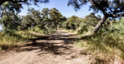 Finca de caza con vivienda cerca de Córdoba