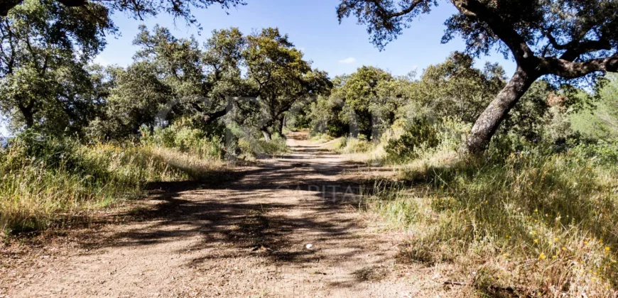 Finca de caza con vivienda cerca de Córdoba