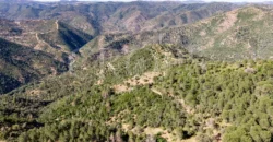 Finca de caza con vivienda cerca de Córdoba