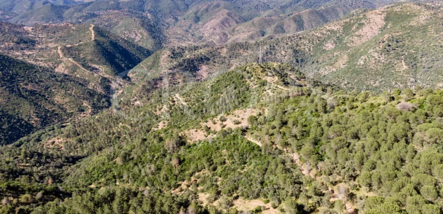 Finca de caza con vivienda cerca de Córdoba