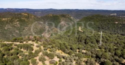 Finca de caza con vivienda cerca de Córdoba