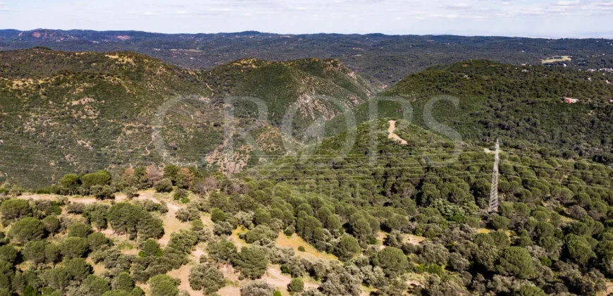 Finca de caza con vivienda cerca de Córdoba