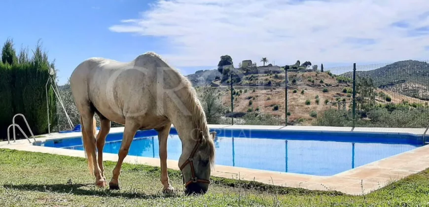 En venta alojamiento rural en Sevilla