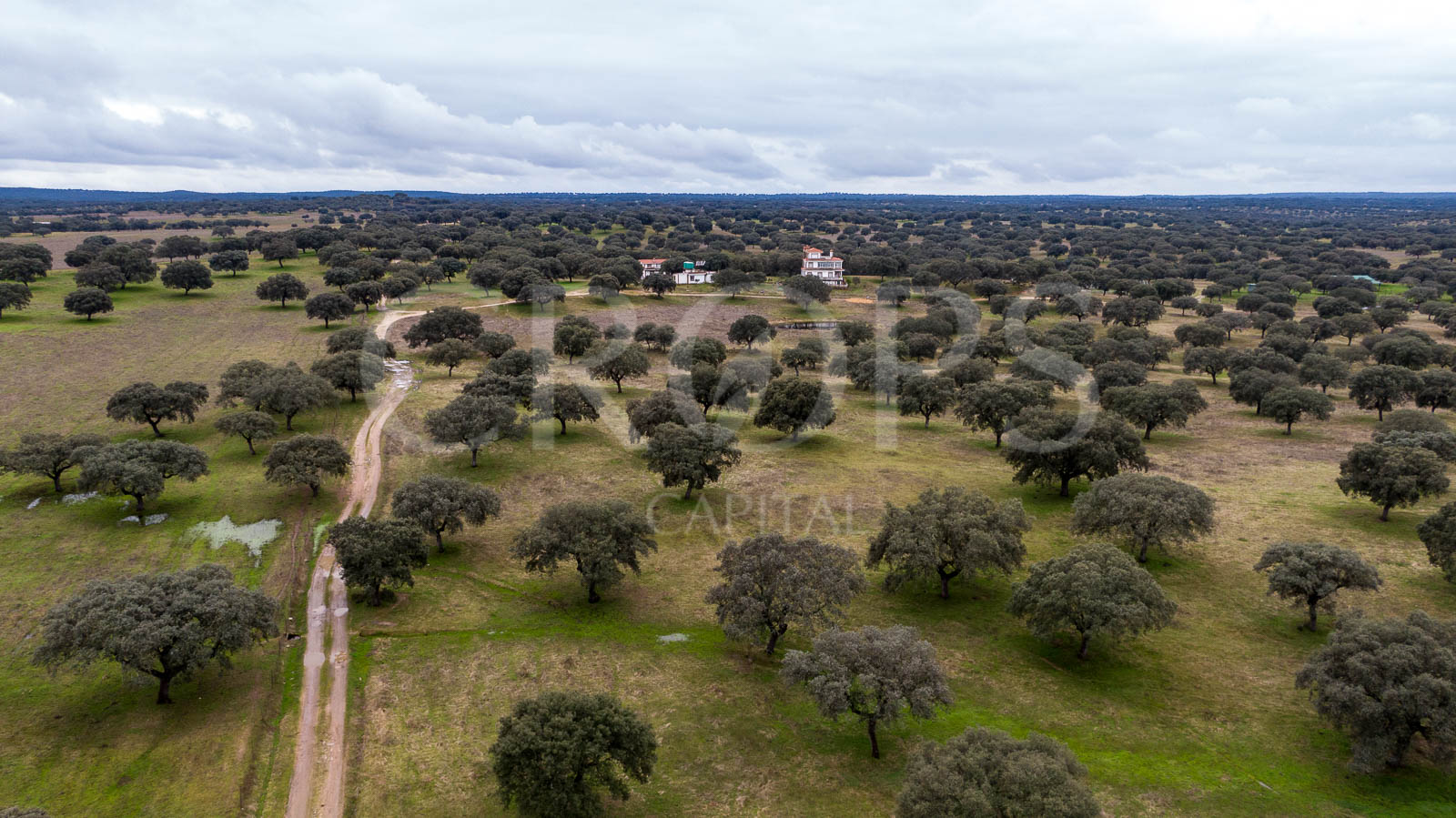 En venta dehesa con vivienda y aprovechamiento ganadero en Cáceres