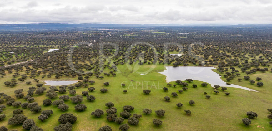 En venta dehesa con vivienda y aprovechamiento ganadero en Cáceres