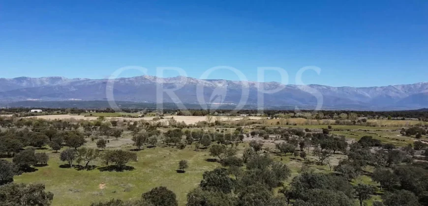 Finca con casa en venta en la Sierra de Gredos